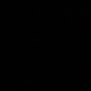 Meet your Posher, Antoine